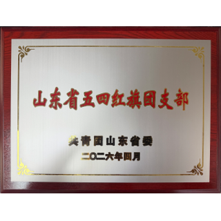 山东省五四红旗团支部